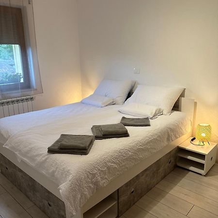 Apartma Anze Samec Dobravlje Exteriér fotografie