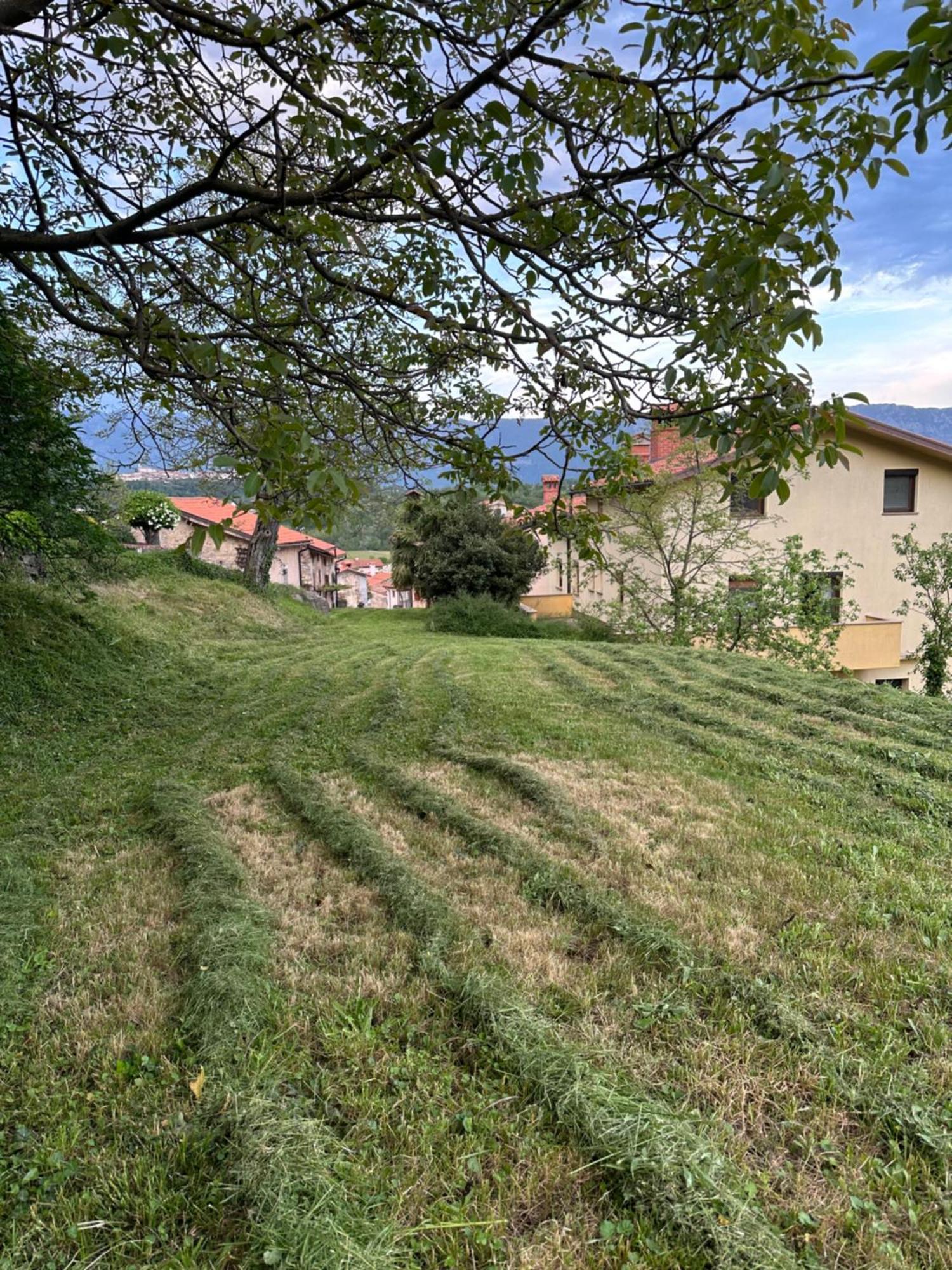 Apartma Anze Samec Dobravlje Exteriér fotografie