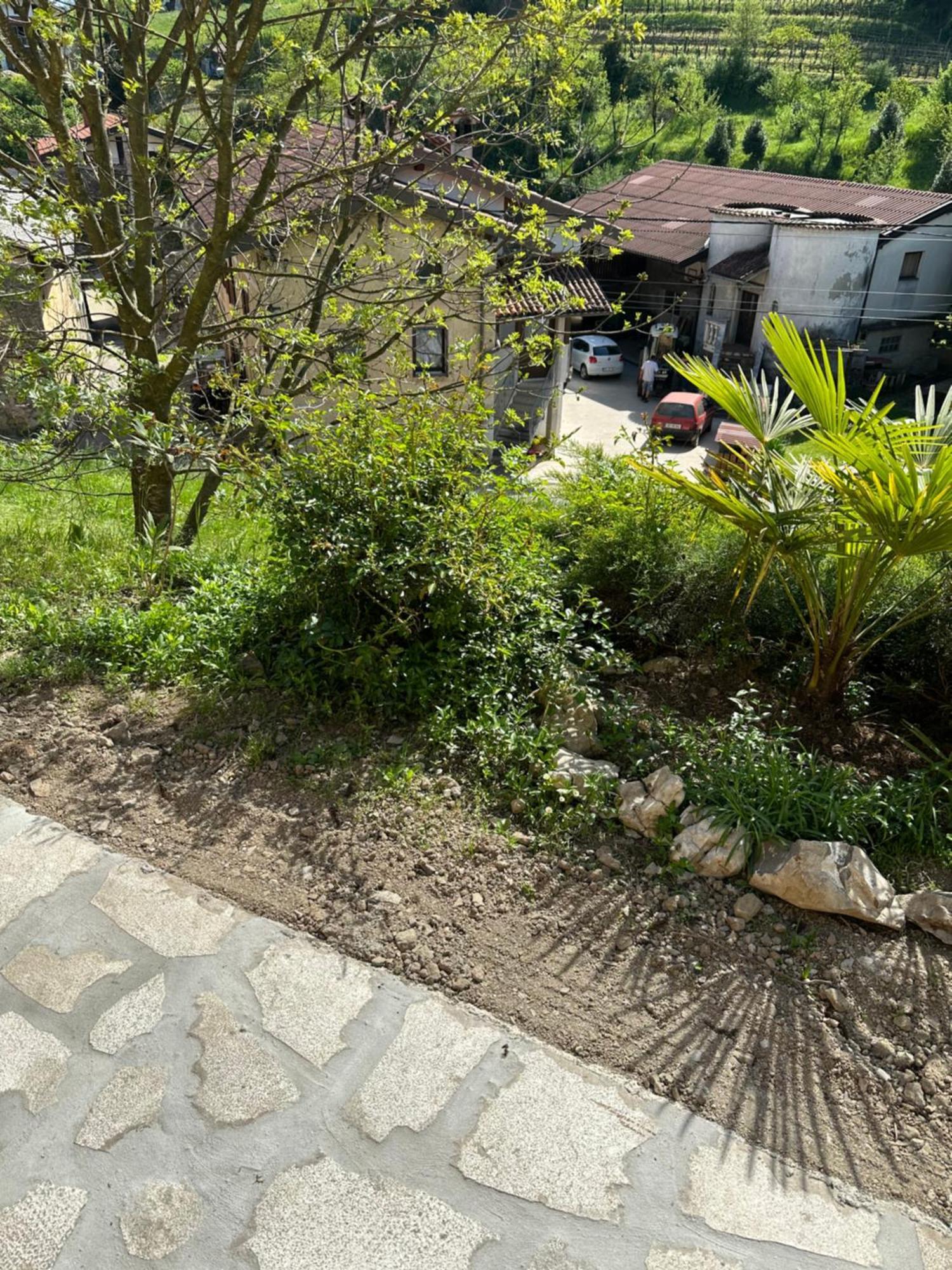 Apartma Anze Samec Dobravlje Exteriér fotografie