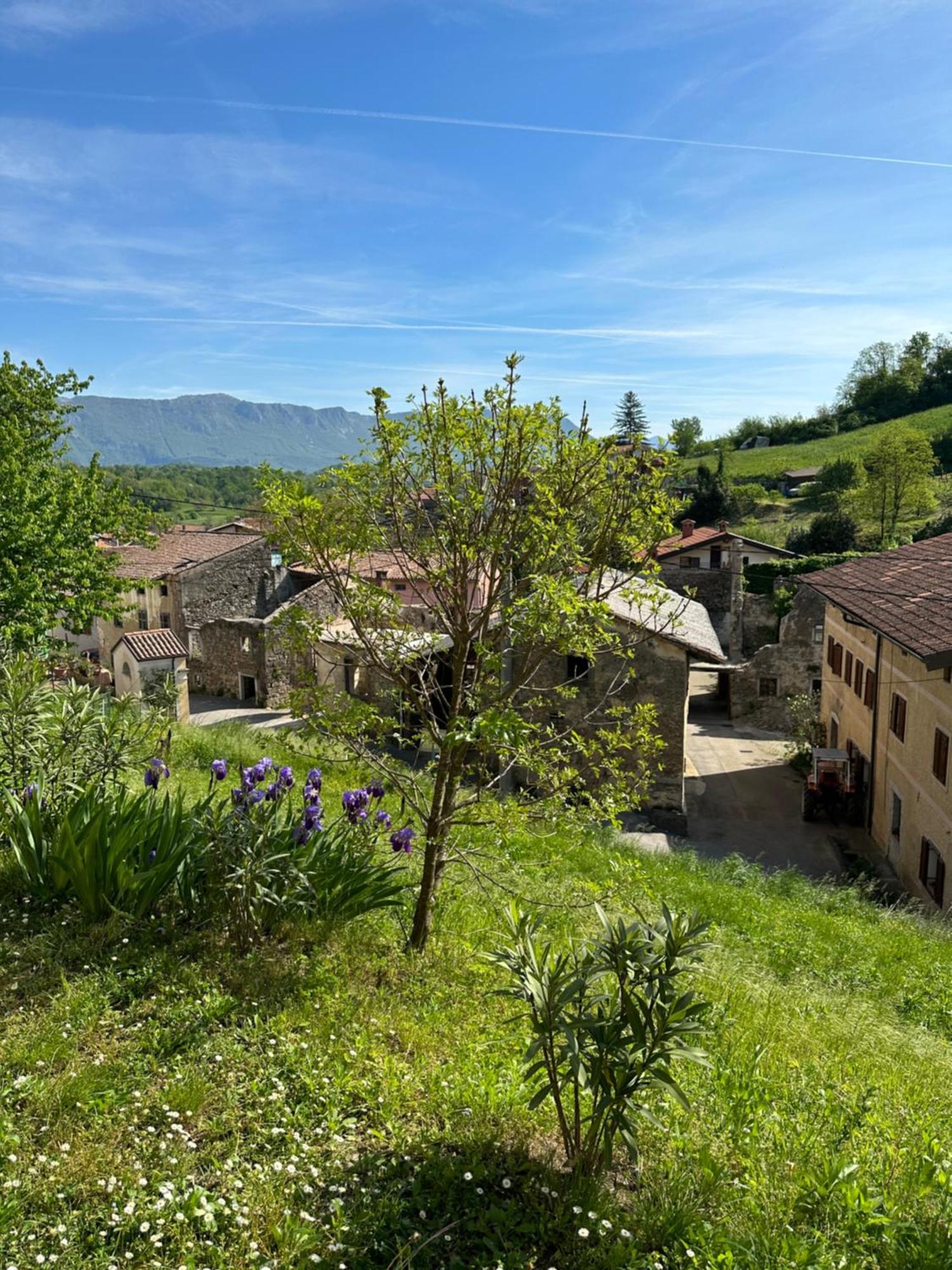 Apartma Anze Samec Dobravlje Exteriér fotografie