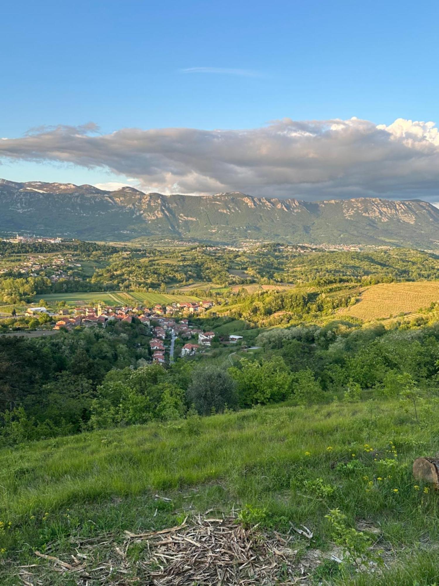 Apartma Anze Samec Dobravlje Exteriér fotografie